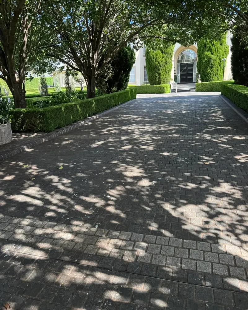 A high boundary hedge cut straight and level