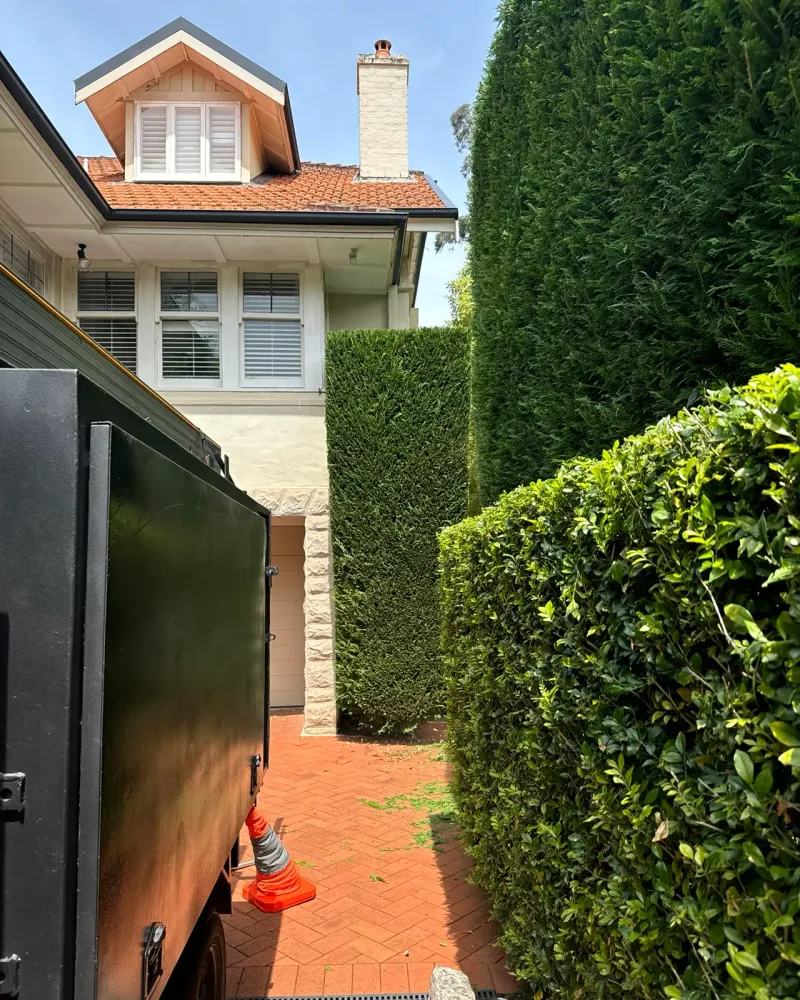 Hedges and shrubs shaped around a garden path